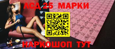 индика Кингисепп