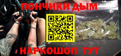 индика Кингисепп