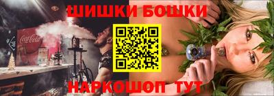индика Кингисепп