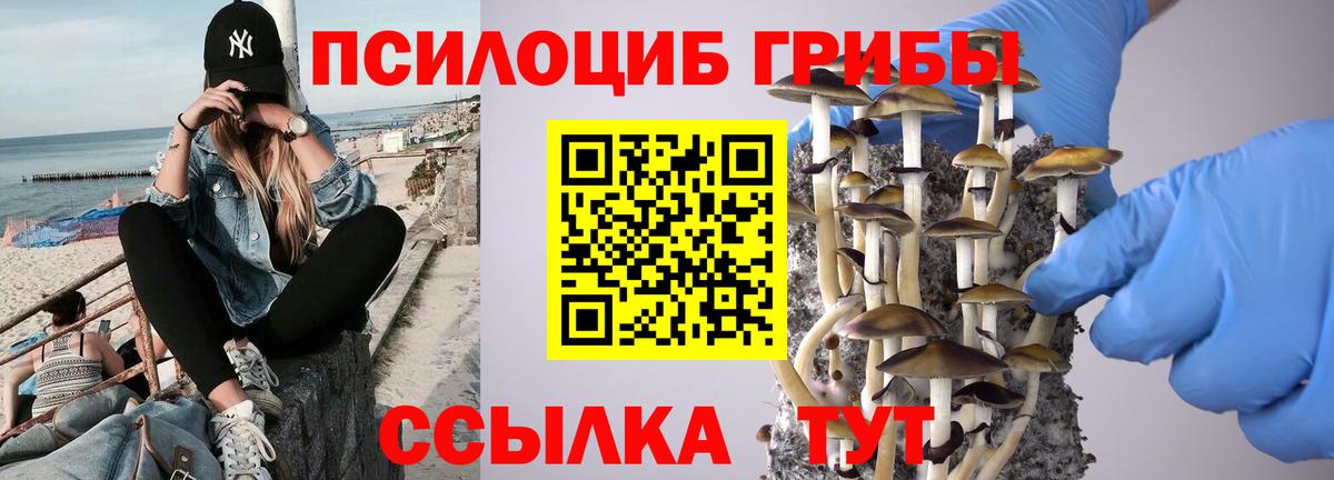 Кропоткин  Галлюциногенные грибы Magic Shrooms  Вход с VPN 