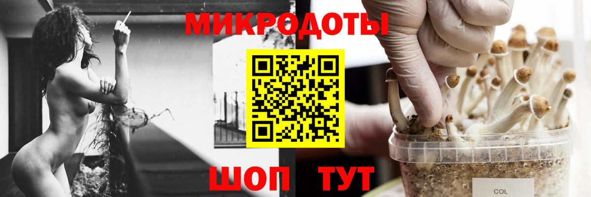 Галлюциногенные грибы прущие грибы Кропоткин